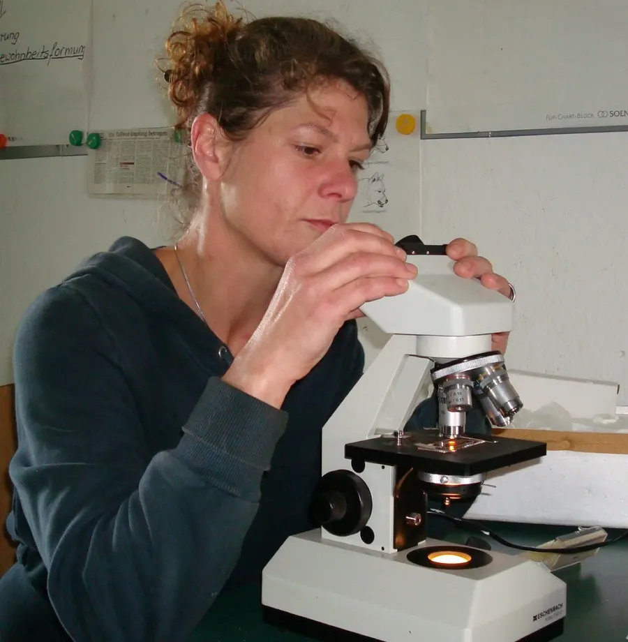 Manuela Zimmermann untersucht eine Probe am Mikroskop