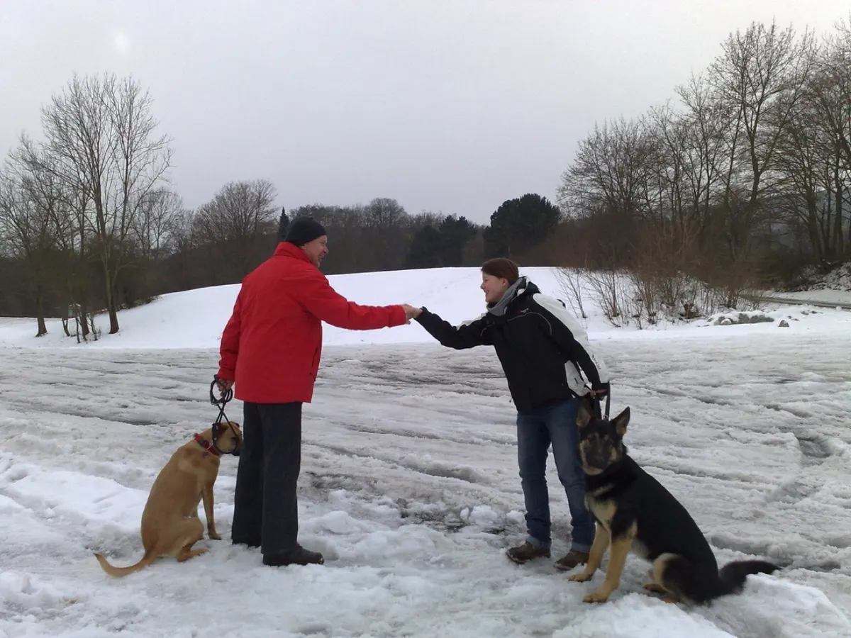 Zwei Hundehalter begrüßen sich per Handschlag, ihre Hunde sitzen ruhig daneben – Hundebegegnung im Schnee